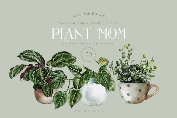 Download House Plants Illustrations and Patterns - House Collection